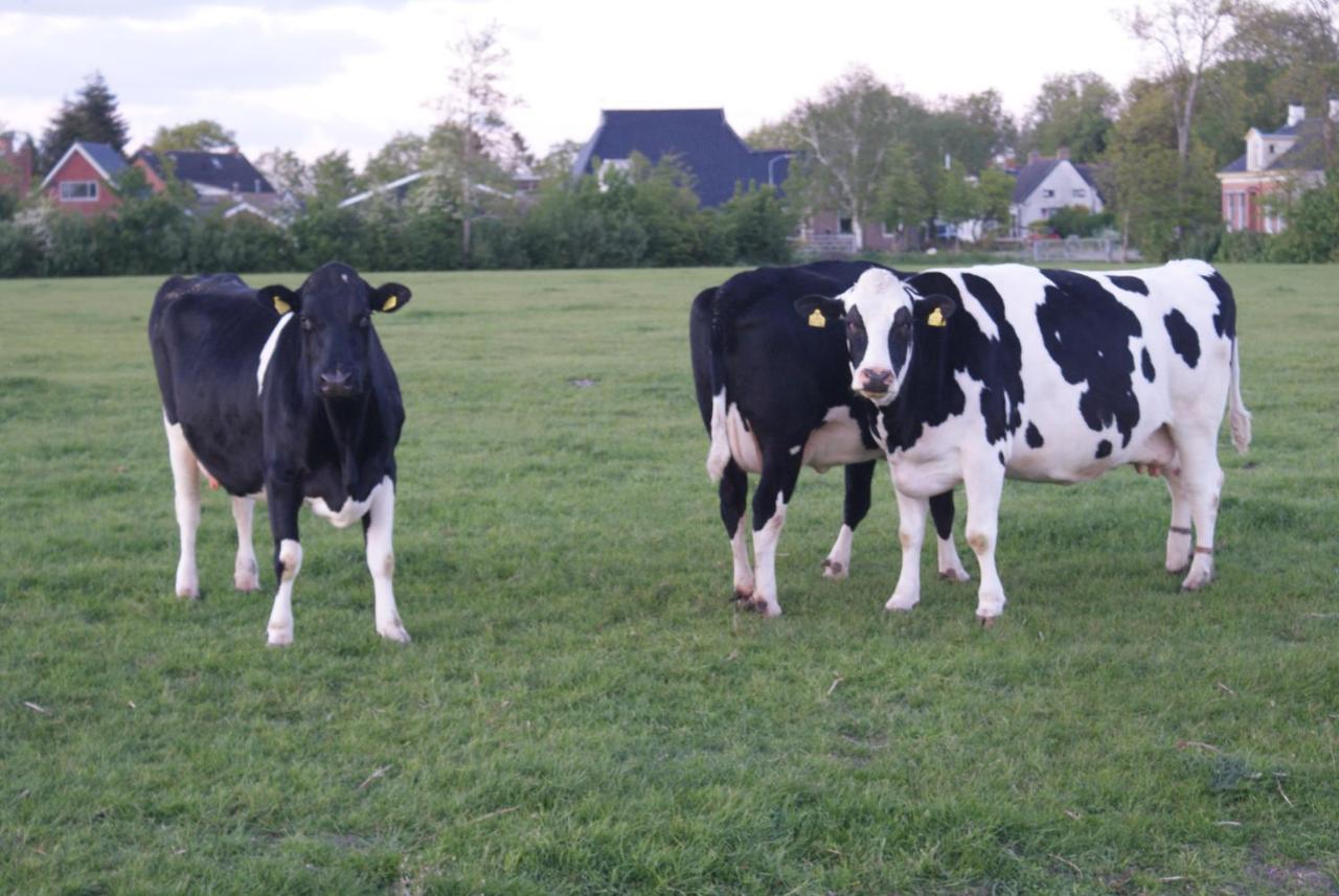 Bnb-Heirhuys Visvliet Esterno foto