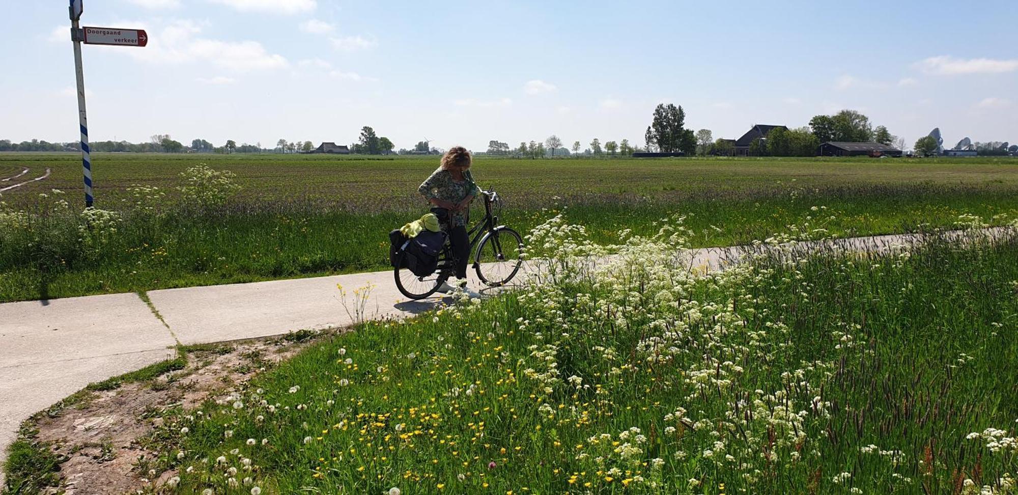 Bnb-Heirhuys Visvliet Esterno foto